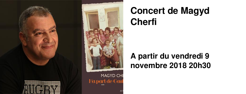 Concert de Magyd Cherfi